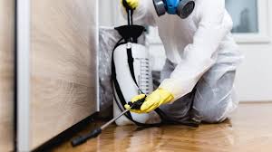 Best Bed Bug Extermination  in Hicksville, OH